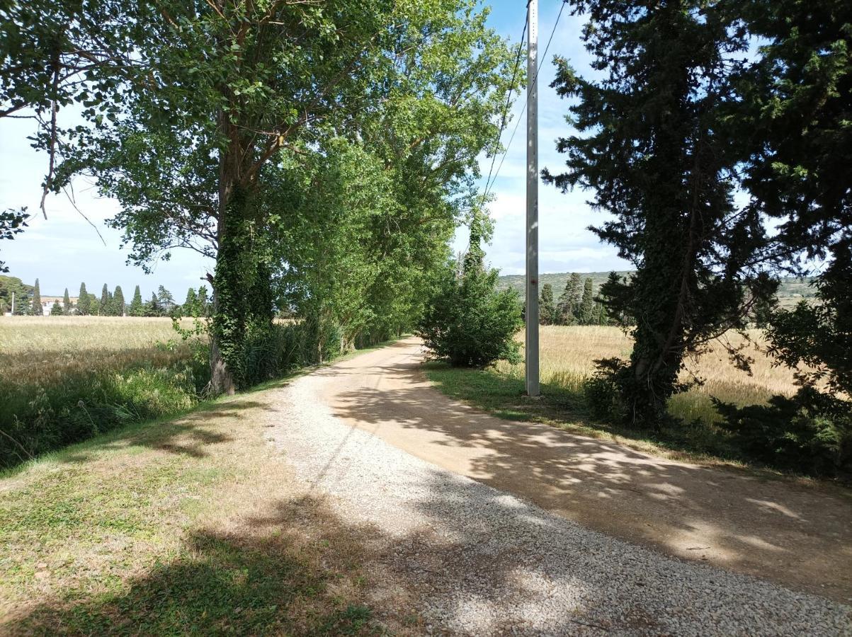 Domaine Le Piboul Villa Fontcouverte  ภายนอก รูปภาพ